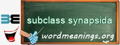 WordMeaning blackboard for subclass synapsida